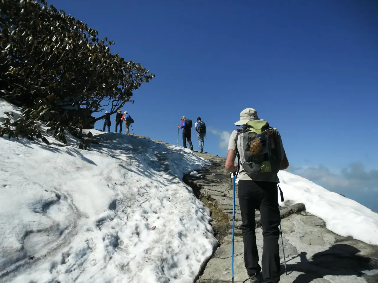 Chopta Tungnath & Chandrashila Summit Trek - Fixed Departure Batch - Deoriatal - Chopta - Tungnath - Chandrashila - Adventure Trips India