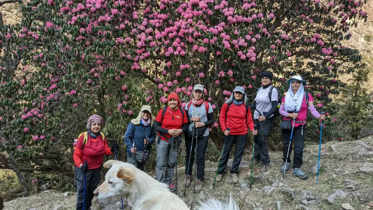 Pindari Glacier Trek (Rhododendron Trek) Photo 2