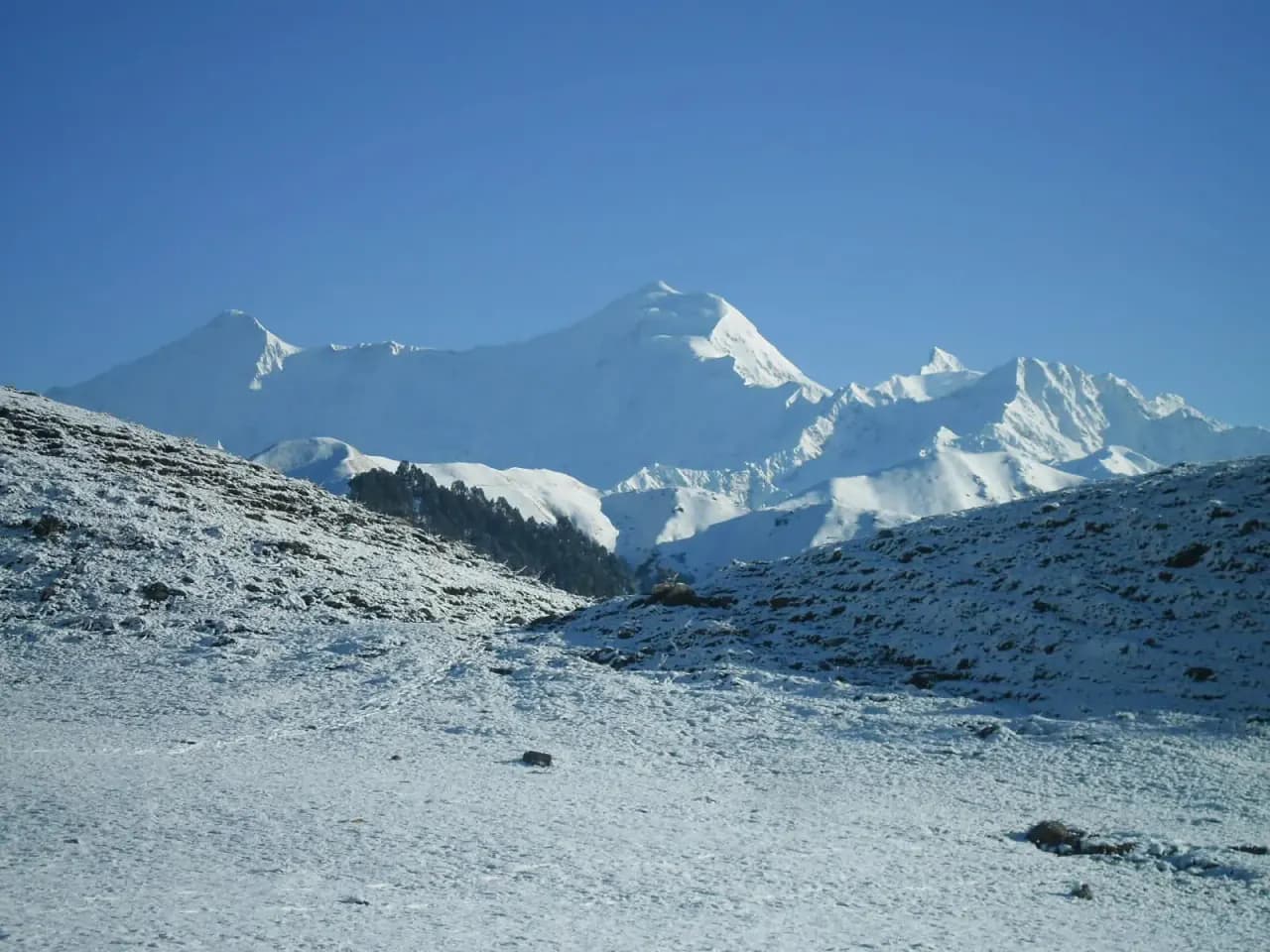 Surya Top Winter Summit Trek - Fixed Departure Batch - Barsu - Jungle Camp - Syanri Bugyal - Surya Top Summit - Adventure Trips India
